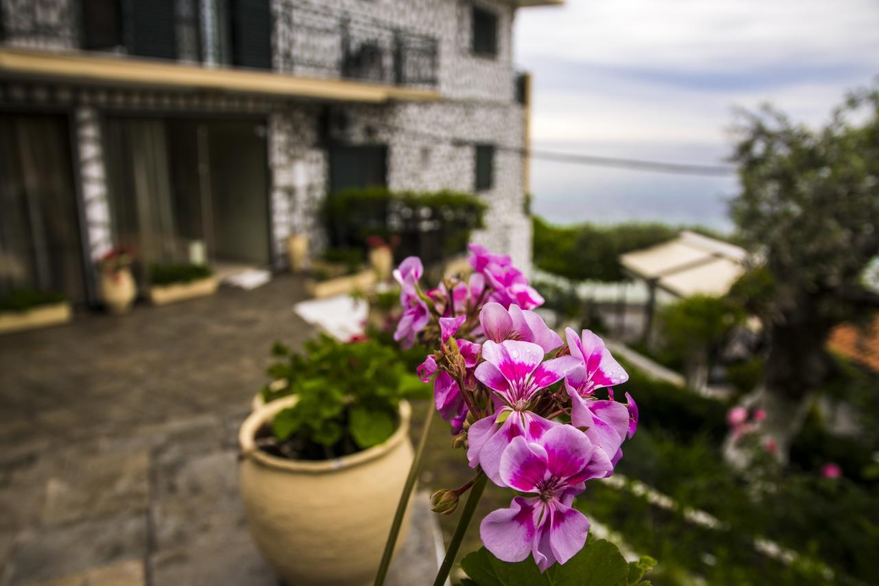 Hotel Villa Nisteri Liménas Eksteriør bilde